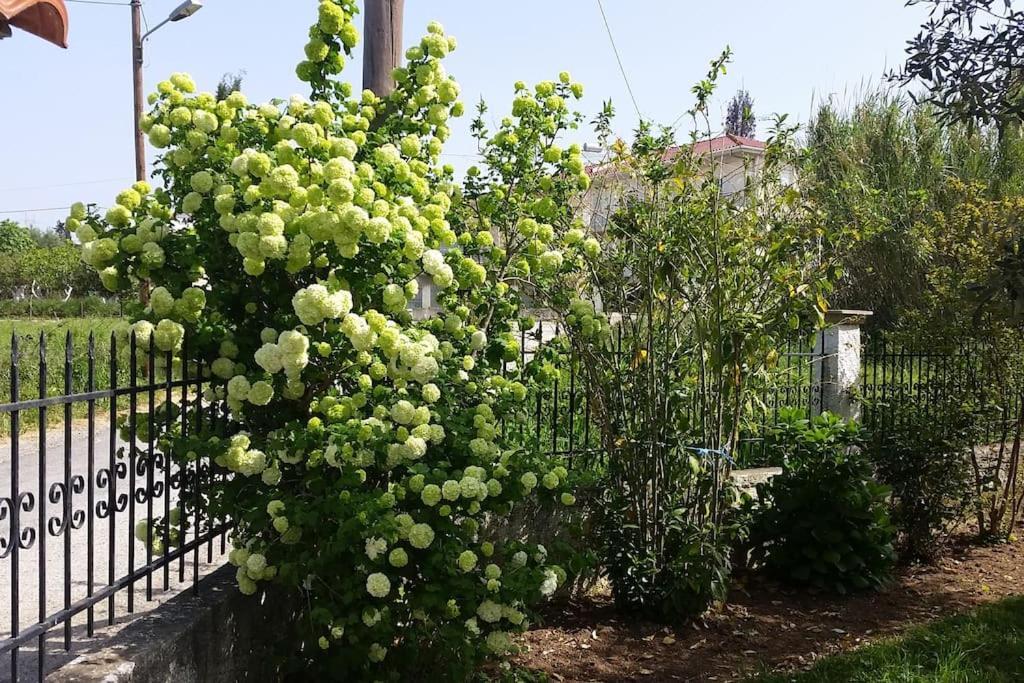 New Village Studios, Preveza A3 מראה חיצוני תמונה